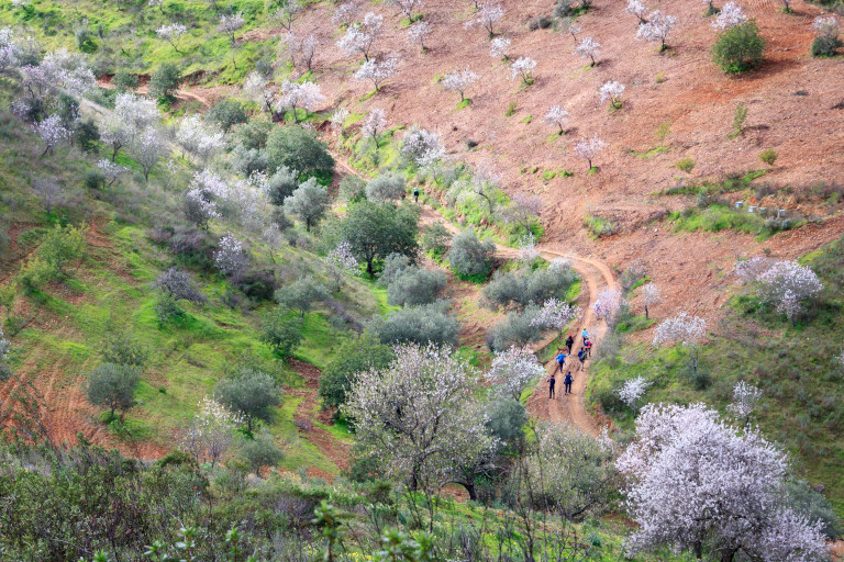 Chemin de randonnée entouré d'amandiers en fleurs dans la campagne de l'Algarve au sud du Portugal