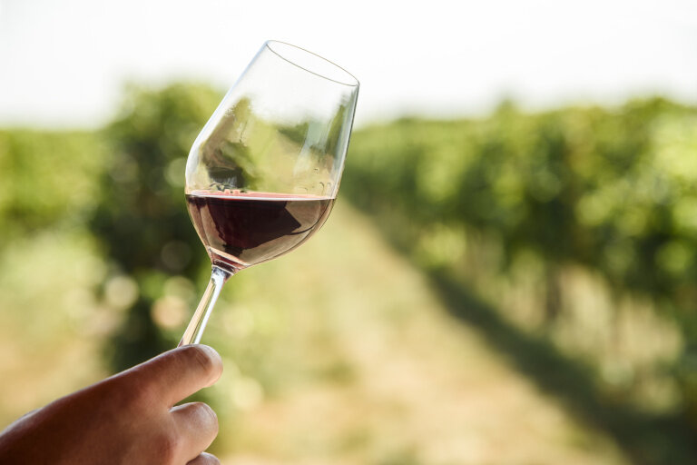 Verre de vin devant un vignoble d'Algarve